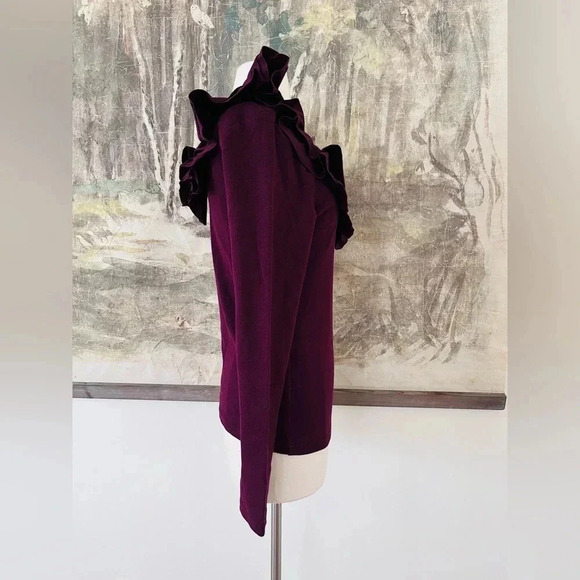 Anthropologie DOLAN Ruffled V-Neck Top in Wine Size Medium NWOT $78 - Picture 3 of 11